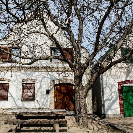 Berger Pince-Vendeghaz, Hajosi Pincek Hotel Buitenkant foto